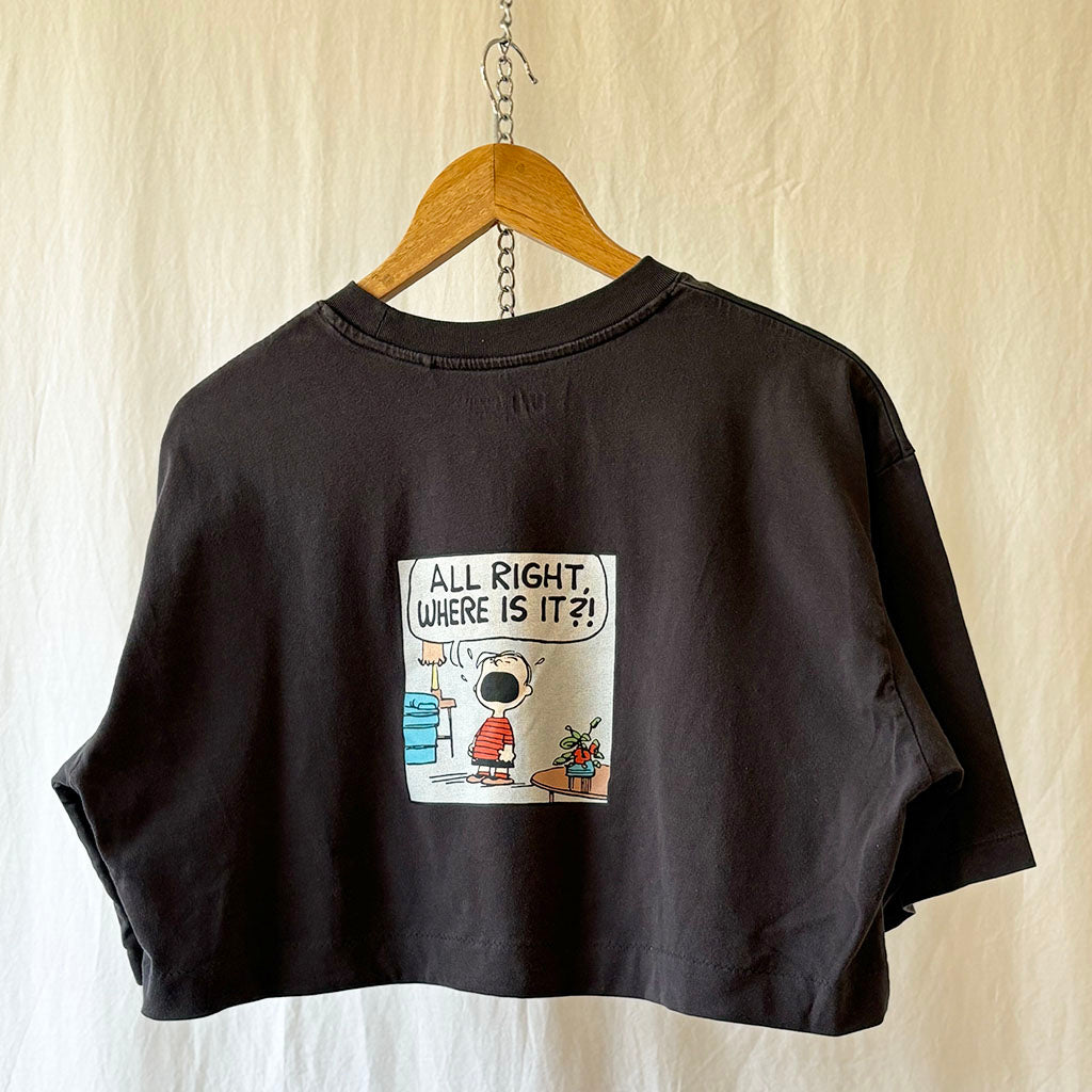 Snoopy vs. Linus: The Battle for the Blanket Cropped T-shirt