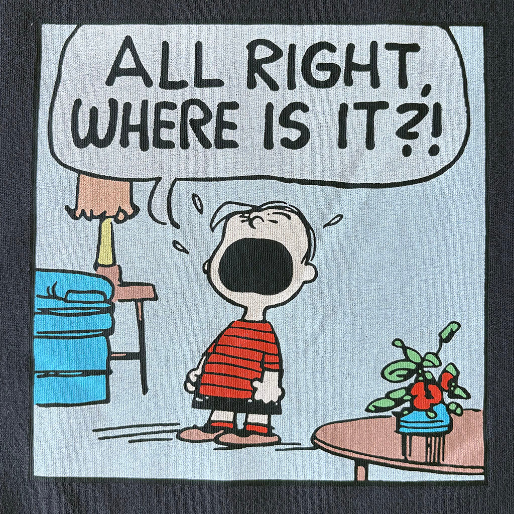 Snoopy vs. Linus: The Battle for the Blanket Cropped T-shirt