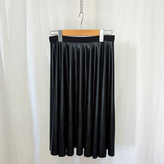 Wet Look Circle Skirt